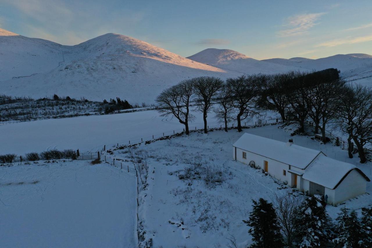 Thistle Thatch Cottage And Hot Tub - Mourne Mountains 纽卡斯尔 外观 照片