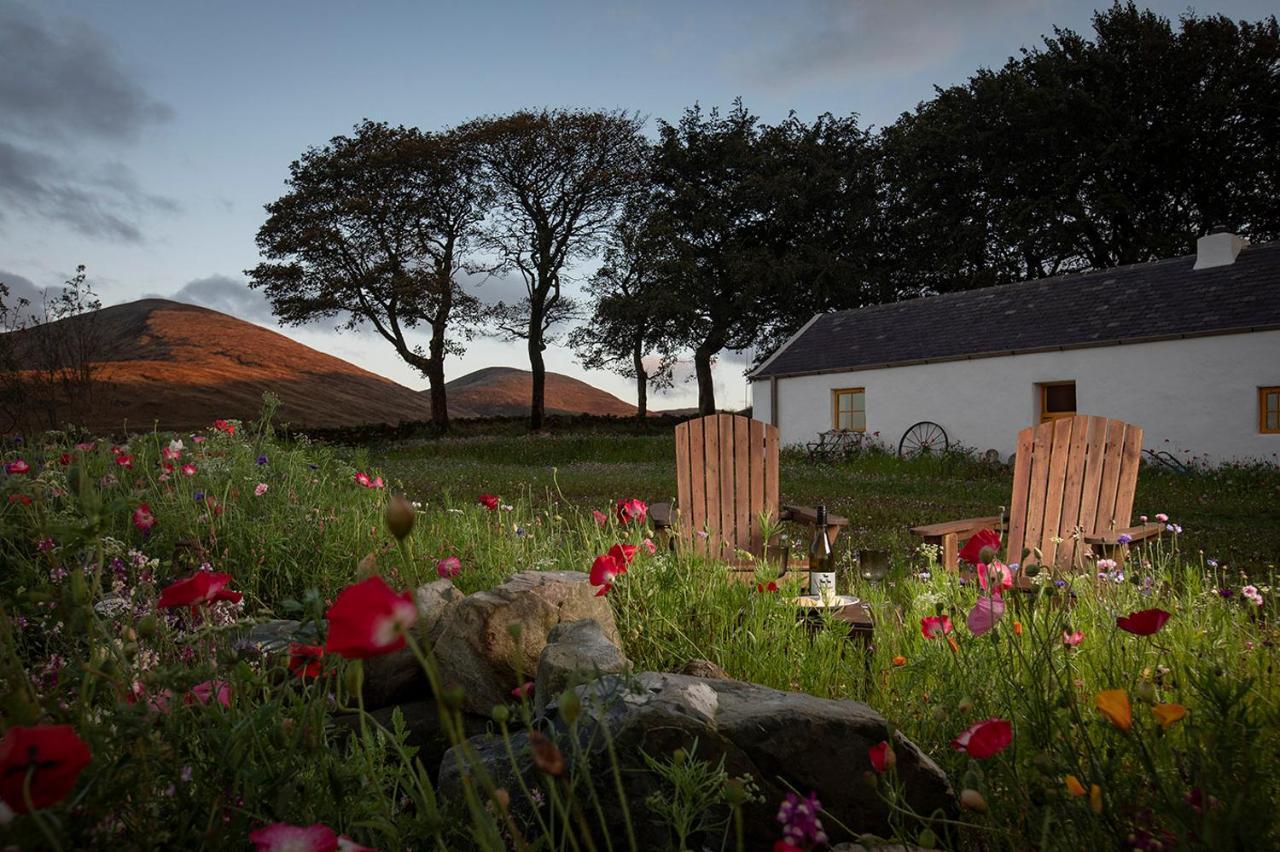 Thistle Thatch Cottage And Hot Tub - Mourne Mountains 纽卡斯尔 外观 照片